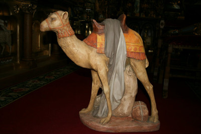 Camel en PLASTER, Belgium 19th century