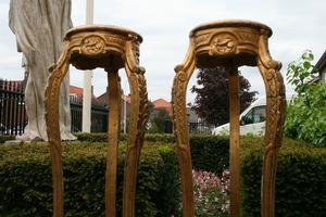 Pedestals en wood polychrome, Italy 19th century